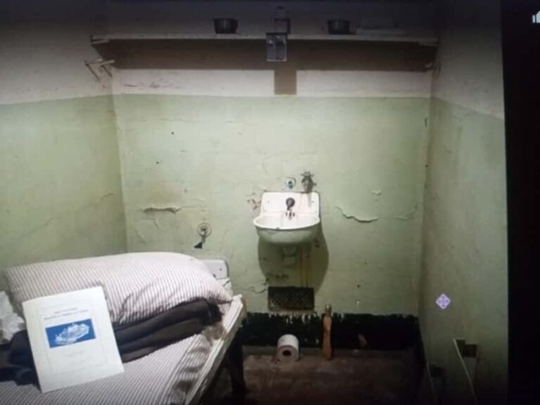 San Francisco: Alcatraz Island Tour with Bike Rental - The Bikes and Your Ride: Practical Details