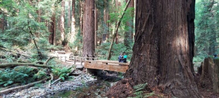 San Francisco: Alcatraz Tour with Muir Woods and Sausalito - Transportation and Group Size: Why It Matters