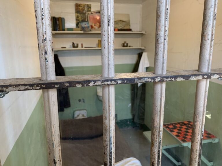 San Francisco: Alcatraz with San Francisco Bay Cruise - Authentic Feedback from Travelers