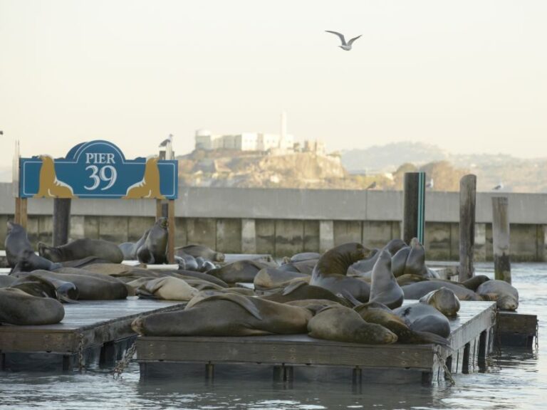 San Francisco CityPASS®: Save 46% at 4 Top Attractions - Detailed Breakdown of the Itinerary