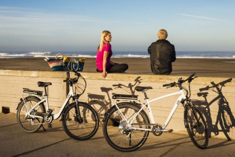 San Francisco: Explore at Your Own Pace All Day on E-Bike - Detailed Breakdown of the Experience