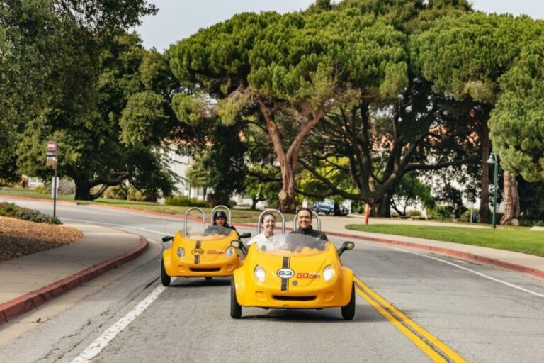 San Francisco: Golden Gate Bridge and Lombard GoCar Tour - Who is This Tour Best For?