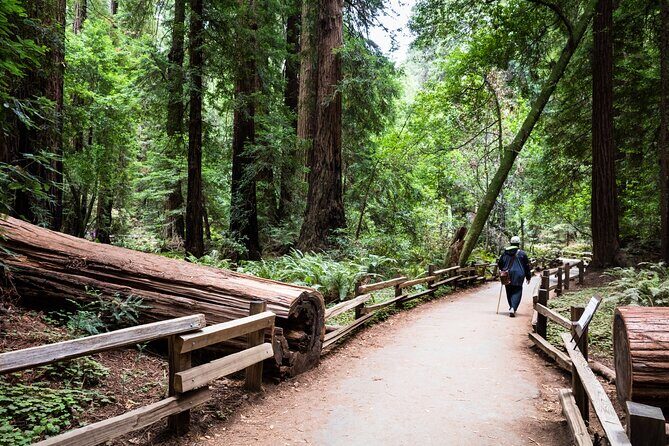San Francisco, Golden Gate, Sausalito and Muir Woods Private Tour - A Closer Look at the Itinerary: What to Expect