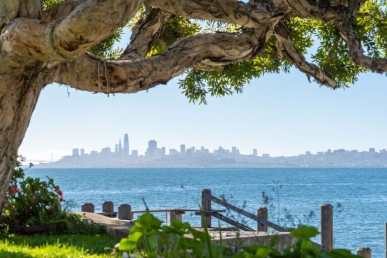 San Francisco Golden Gate Sausalito Muir Woods Private Tour - The Charm of Sausalito and Enjoying Waterfront Dining