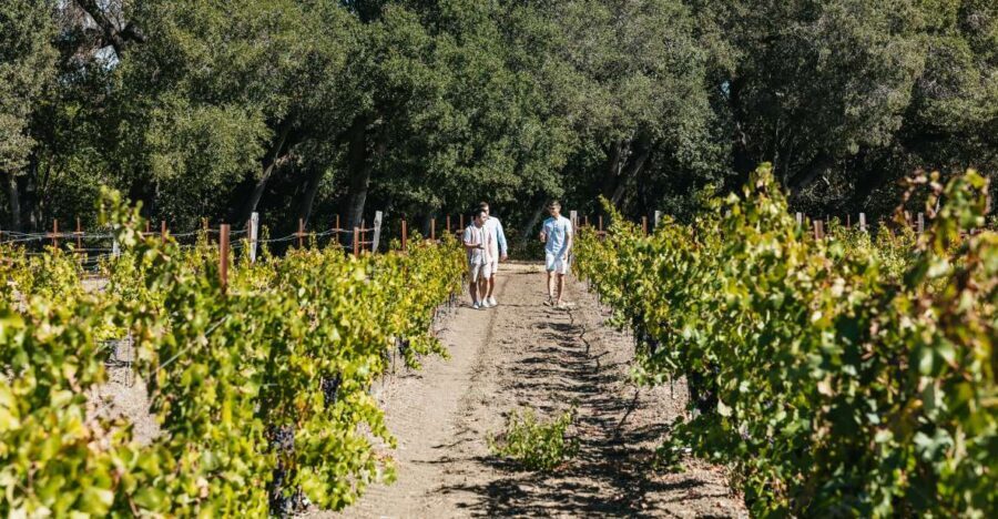 San Francisco: Half-Day Wine Country Excursion with Tastings - Transportation and Group Dynamics