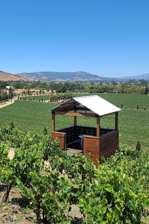 San Francisco: Half-Day Wine Tour with 2 Tastings Included - What Travelers Say: The Good and the Not-So-Good