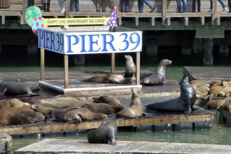 San Francisco: Hop-On Hop-Off Tour with Optional Night Tour - What Travelers Say