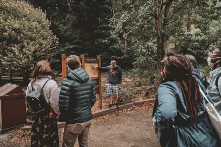 San Francisco: Morning Muir Woods & Sausalito Tour w/ Ferry - Why This Tour Offers Good Value