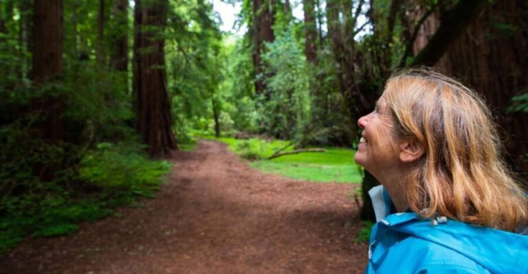 San Francisco: Muir Woods and Sausalito Tour with Admission - Transport and Logistics: Making It Easy