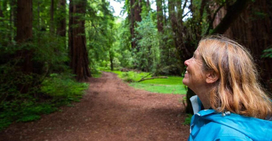 San Francisco: Muir Woods and Sausalito Tour with Admission - Transport and Logistics: Making It Easy