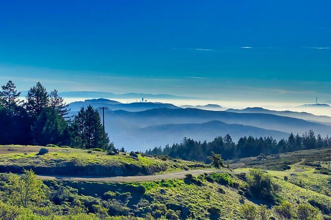 San Francisco Muir Woods, Point Reyes and Meadery Tour - The Itinerary in Detail