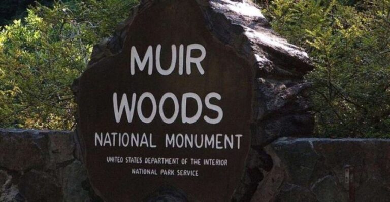 San Francisco: Muir Woods, Sausalito, and Tiburon Day Trip - The Sum Up