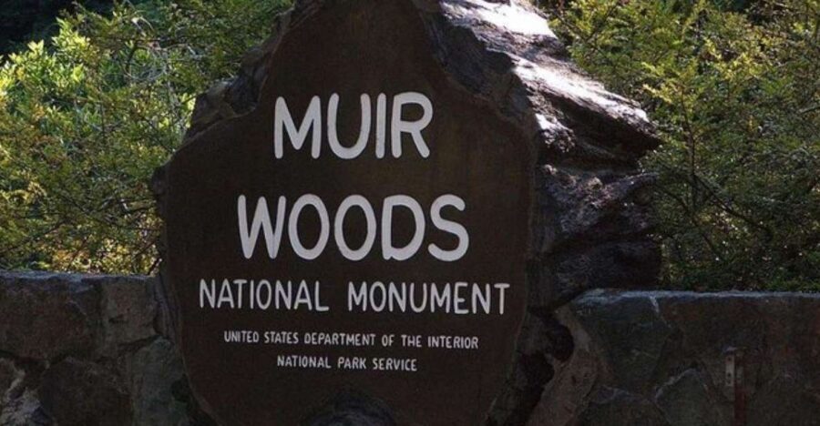 San Francisco: Muir Woods, Sausalito, and Tiburon Day Trip - The Sum Up