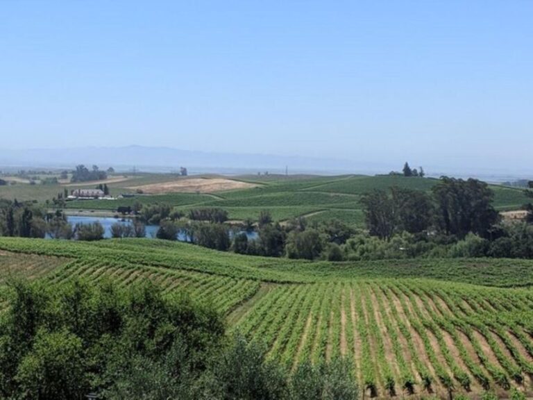 San Francisco: Napa and Sonoma Valley Private Wine Tour - Who Is This Tour Best For?