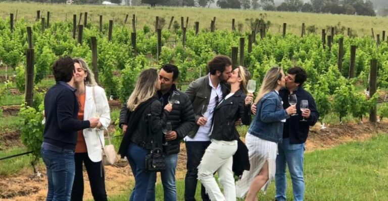 San Francisco: Napa Valley Half-Day Wine Tour with Tastings - Transportation & Group Experience