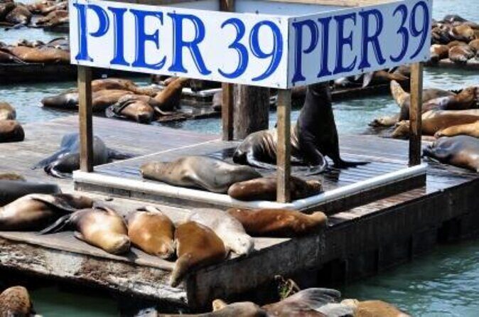 San Francisco Pier 39 Puzzling Adventure - Final Thoughts — Is It Worth It?