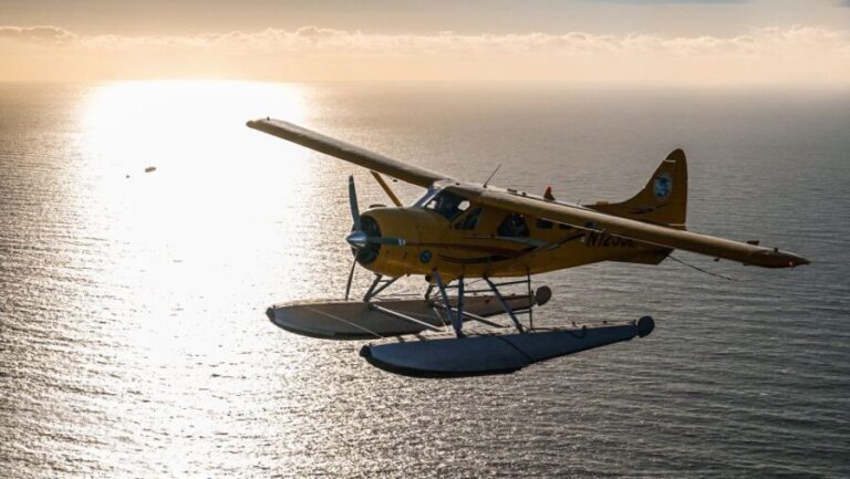 San Francisco: Seaplane Flight with Champagne - What Travelers Are Saying