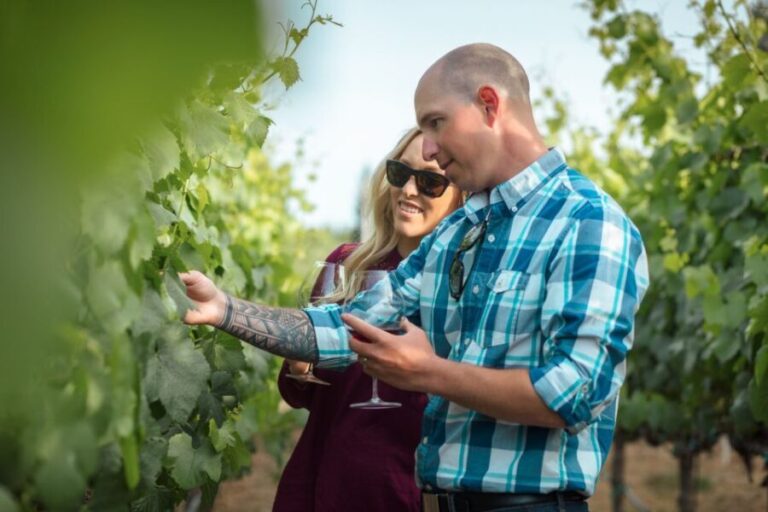 San Francisco: Sonoma Wine Country Tour with Tastings - Value and Practicalities