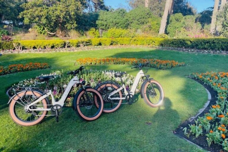 San Francisco: Summer of Love Guided eBike Tour - Is It Worth the Price?