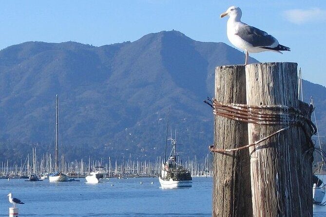 San Francisco Sunset Cruise - FAQ About the San Francisco Sunset Cruise