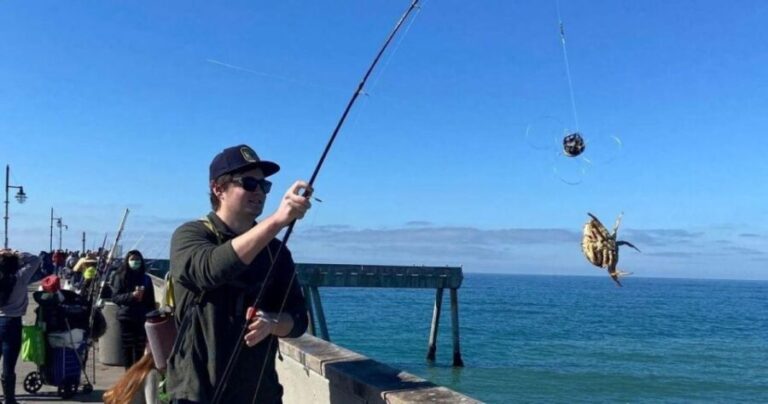San Francisco: The Art of Crabbing in the Bay Area - Final Thoughts