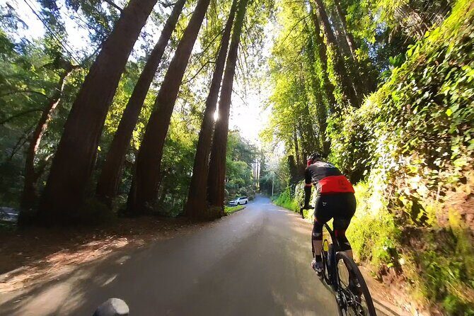 San Francisco to Muir Woods Cycling Tour - What’s Included and What to Consider