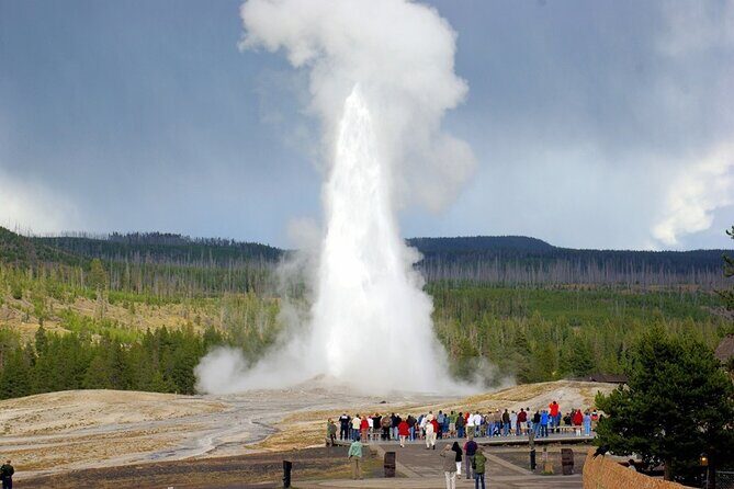 San Francisco to Yellowstone and Las Vegas 7-Day Tour - What Travelers Are Saying