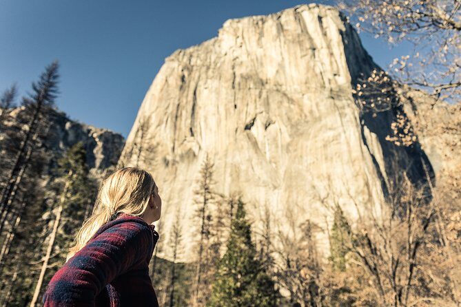 San Francisco to Yosemite One-Way Transfer - Who Should Consider This Tour?
