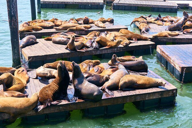San Francisco Uncovered Self-Guided Adventure - Who Will Get the Most Out of This Tour?