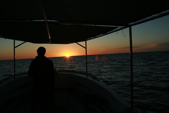 San Jose del Cabo Small-Group Sunrise Whale Watching - Discovering the Whale Watching Experience