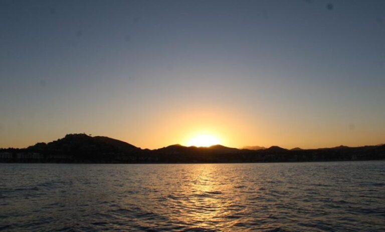 San Jose del Cabo Sunset Whale Watching - The Sum Up