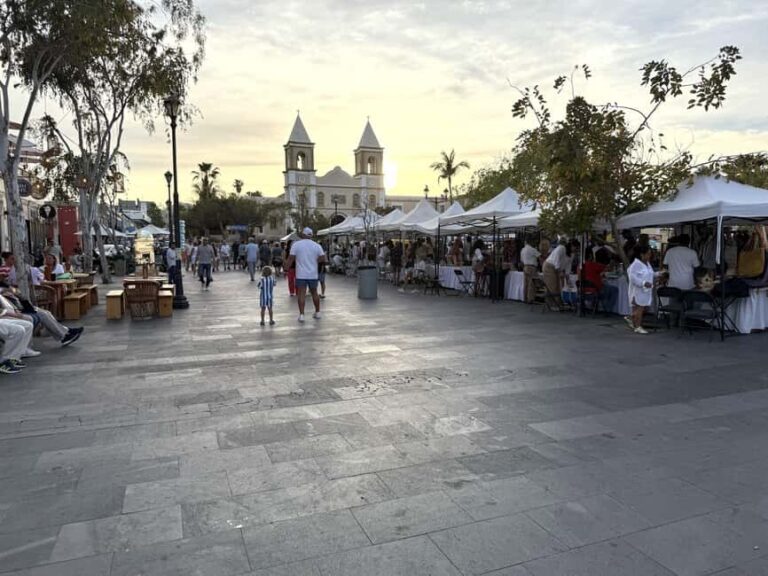 San José del Cabo: Thursday Night Art Walk Tour - Final Thoughts: Who Is This Tour Best For?