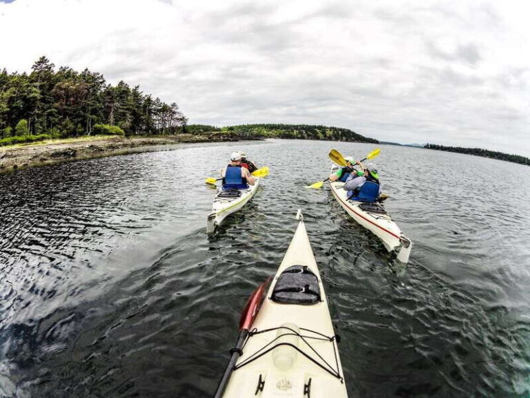 San Juan Island: Full Day Kayaking Tour with Lunch - What’s Included and What to Bring