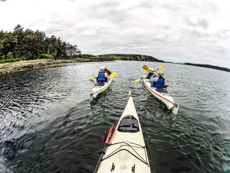 San Juan Island: Full Day Kayaking Tour with Lunch