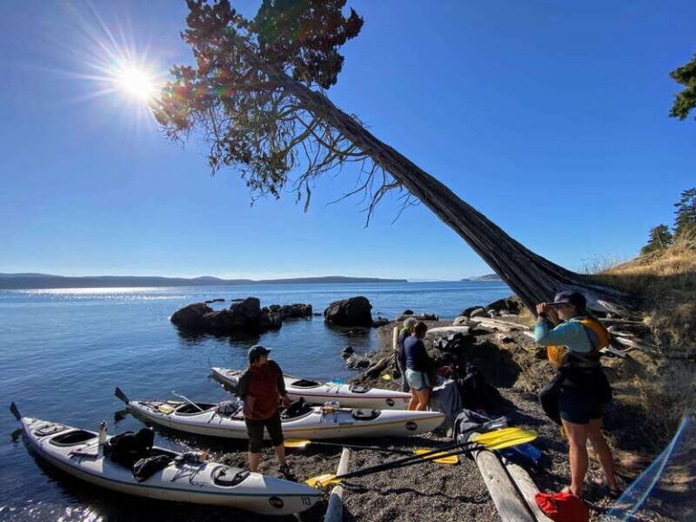 San Juan Islands: 3 Day Kayak and Camping Adventure - What’s Included and What’s Not