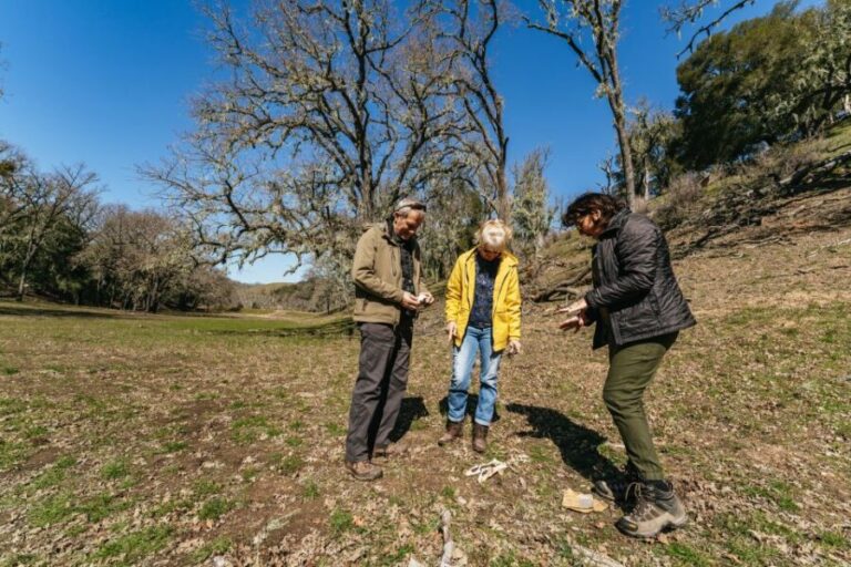 San Luis Obispo: Santa Lucia Guided Nature Tour - The Ride: More Than Just Transportation