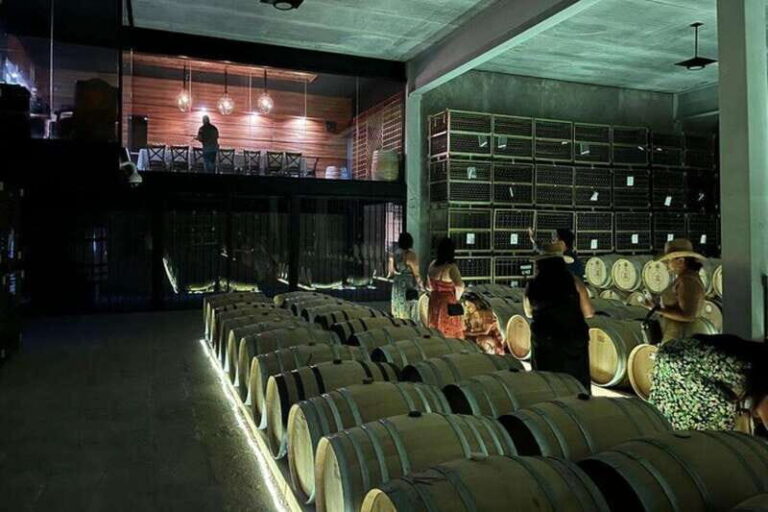San Miguel de Allende: 3 or 5-Course Menu & Wine Pairing - Who Will Appreciate This Tour?