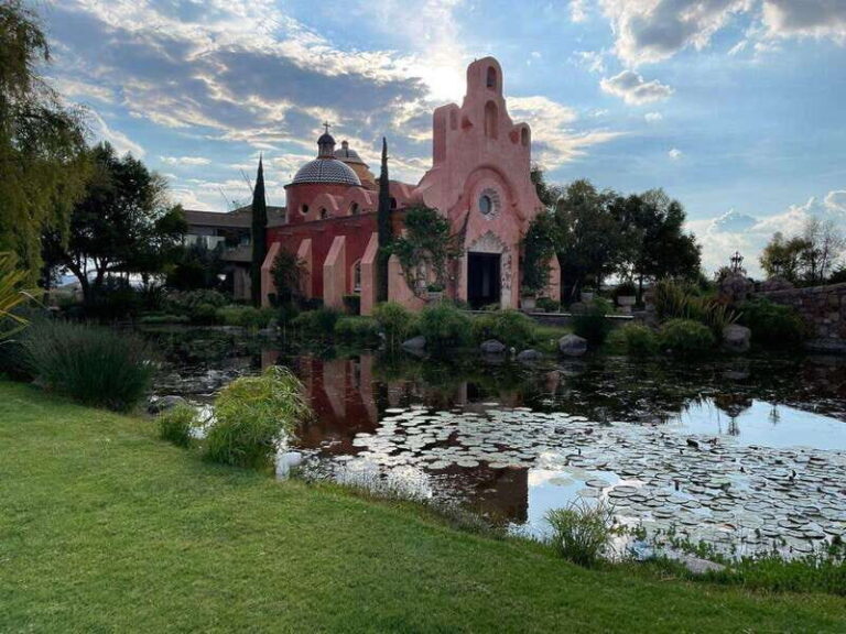 San Miguel de Allende: A Journey Through Vineyards - What’s Included and What to Expect