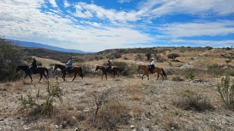 San Miguel de Allende: Breakfast Horseback Ride To Nirvana - Who Will Love This Tour?