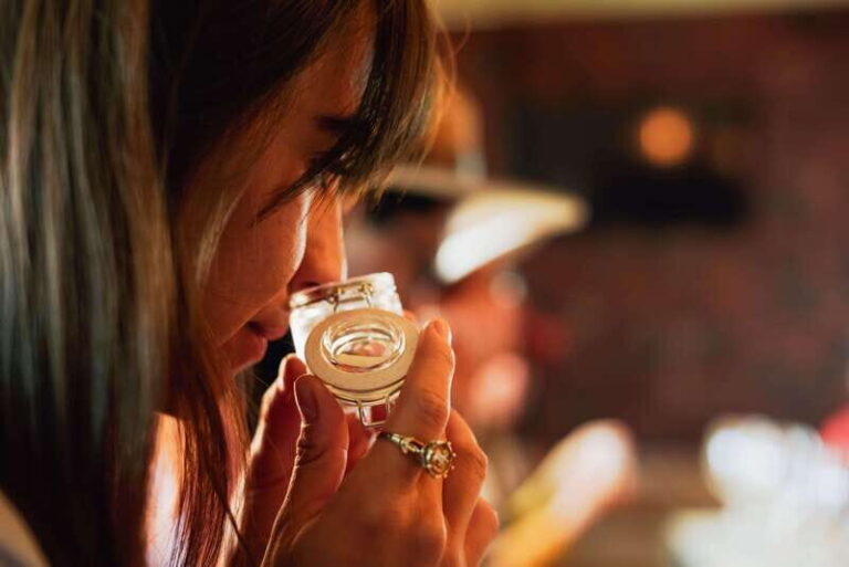 San Miguel de Allende: Independence Valley Wine Route - Who Will Love This Tour?