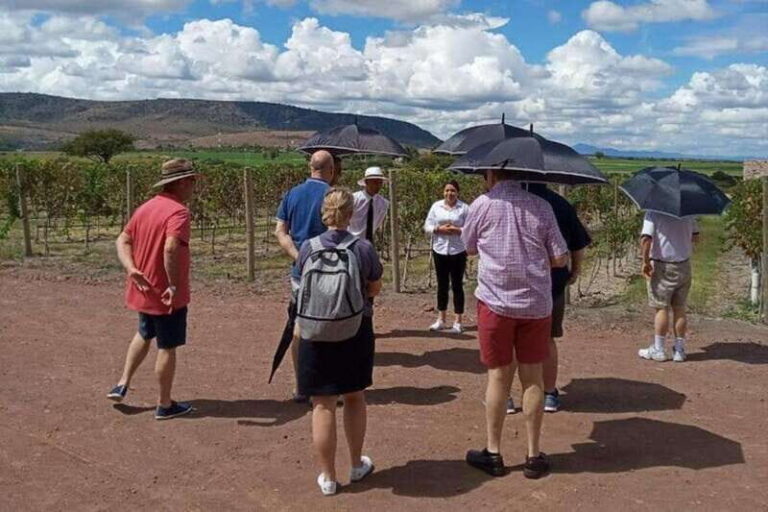 San Miguel de Allende: Local Vineyard Tour & Wine Tasting - Who This Tour Is Best For