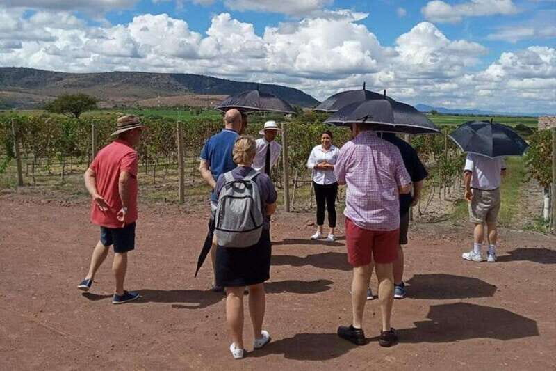 San Miguel de Allende: Local Vineyard Tour & Wine Tasting - Who This Tour Is Best For