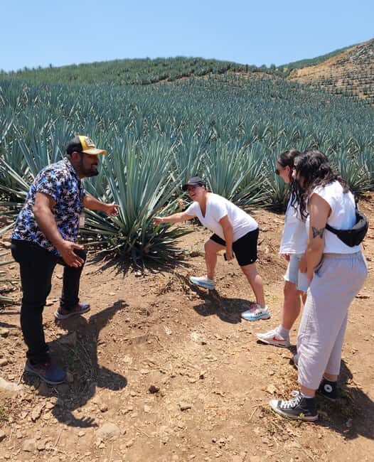 San Sebastian del Oeste: Tequila Tasting and Coffee Tour - An Authentic and Thoughtful Experience