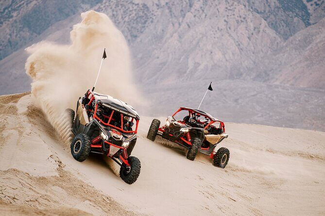 Sand Hollow ATV Rentals - New 4 Person UTV Bring up to 4 People Per Machine - The Sum Up: Who Would Love This?