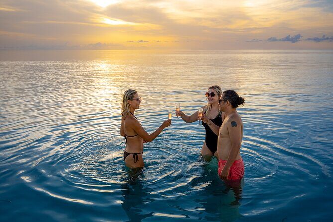 Sandbar Adventure - Private Eco Charter in Key West - Pricing and Value