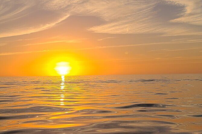Sandbar, Beach, Dolphin Watching Cruise Sarasota, Florida - The Experience: What It’s Like on the Water