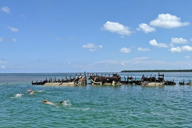 Sandbar Excursion in Key West - Why This Tour Works Well for Certain Travelers