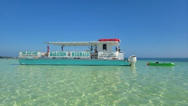 Sandbar Excursion - Vacation Like the Locals Do! - What to Expect on the Day