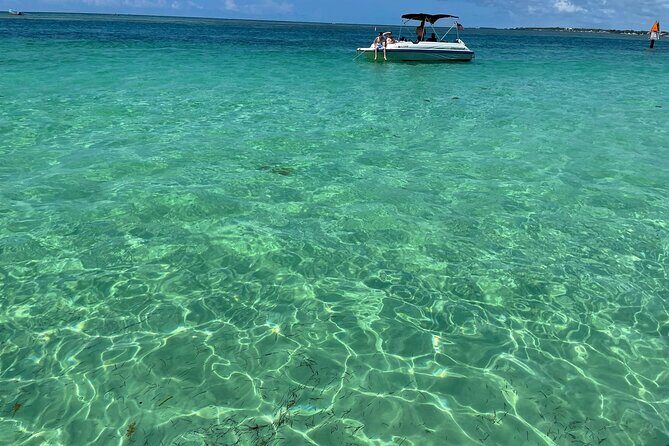 Sandbar Excursion - Who Will Love This Tour?