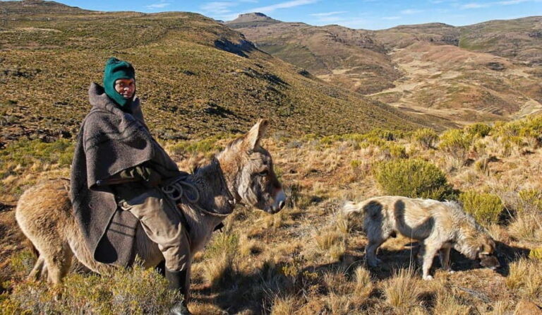 Sani Pass and Mokhotlong in Two Days - The Value of the Experience